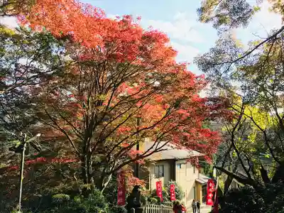 𠮷水神社（吉水神社）(奈良県)