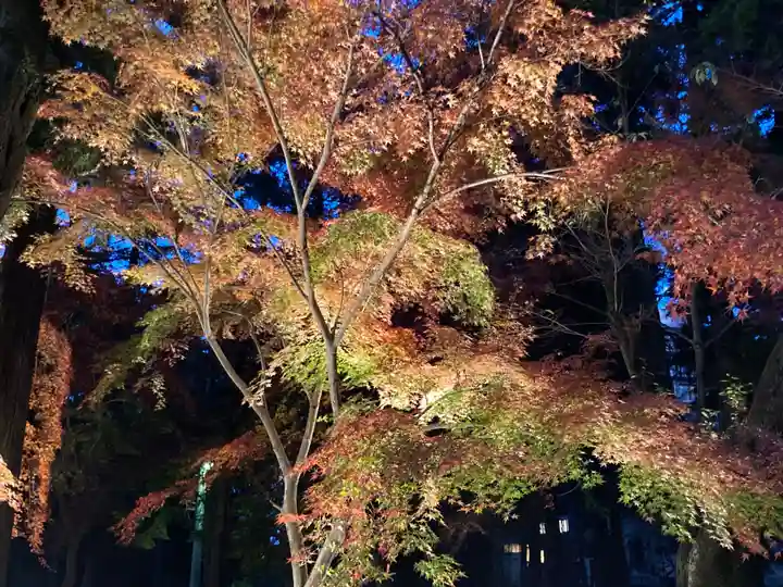 東漸寺(千葉県)