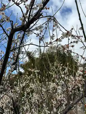 清勝寺(兵庫県)