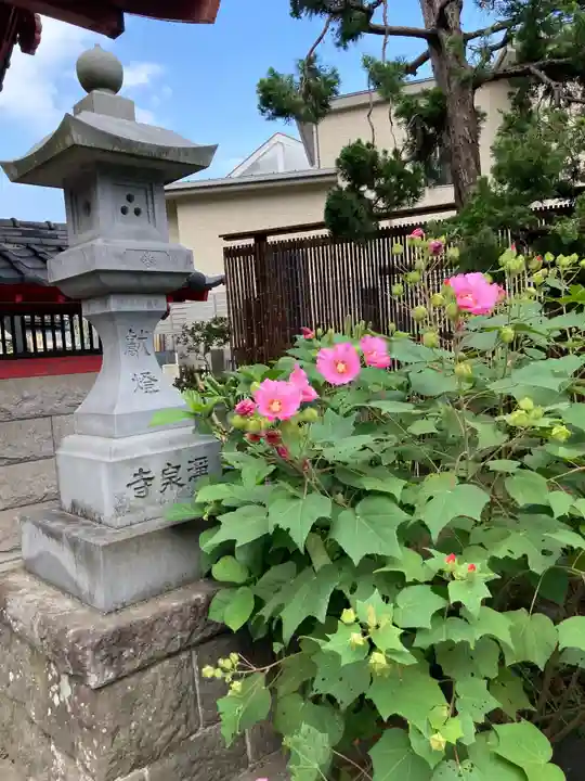 浄泉寺のその他建物