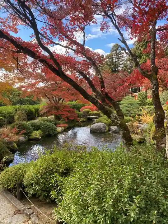 三室戸寺(京都府)
