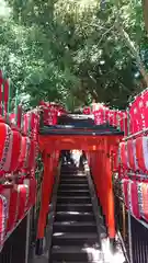 日枝神社の鳥居