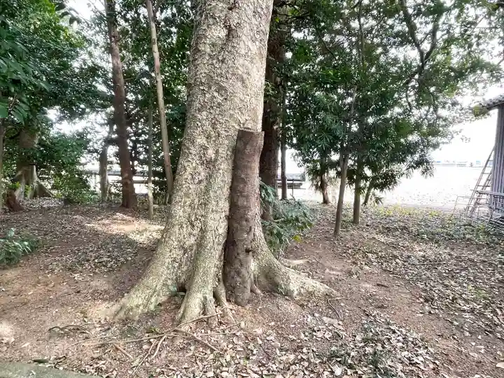 若之神社(三重県)