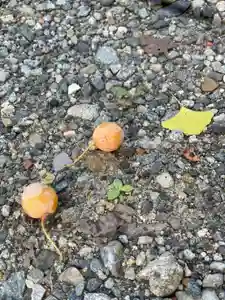 伊勢の国 四天王寺の動物(2022年09月12日(月) 11時08分01秒投稿)