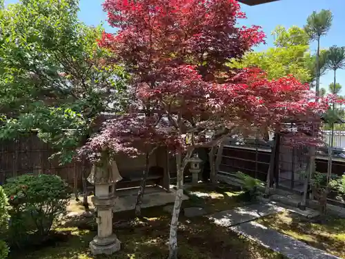 大雲寺(京都府)