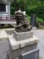 最乗寺（道了尊）の狛犬