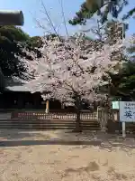 埼玉縣護國神社の{uncategorized: "未分類", other: "その他", undefined: "問題あり", building: "その他建物", grave: "お墓", sacred_gate: "鳥居", guardian: "狛犬", statue: "像", buddha: "仏像", history: "歴史", nature: "自然", garden: "庭園", animal: "動物", pagoda: "塔", temizu: "手水舎", mountain_gate: "山門・神門", sanctuary: "本殿・本堂", subordinate: "末社・摂社", art: "芸術", scenery: "景色", jizo: "地蔵", ema: "絵馬", goshuin: "御朱印", omikuji: "おみくじ", items: "授与品その他", amulet: "お守り", goshuincho: "御朱印帳", eats: "食事", festival: "お祭り", votive_dance: "神楽", shichigosan: "七五三参", wedding: "結婚式", experience: "体験その他", initially: "初詣", around: "周辺", anti_infection: "感染症対策"}