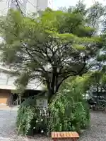 牛天神北野神社の庭園