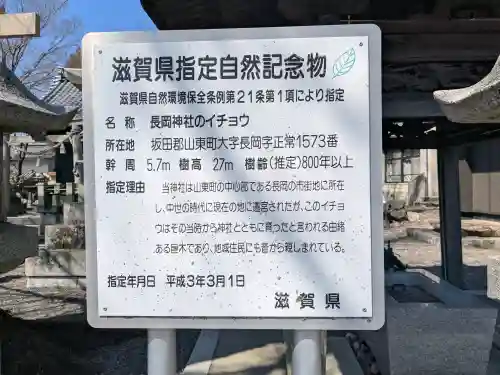 長岡神社の{uncategorized: "未分類", other: "その他", undefined: "問題あり", building: "その他建物", grave: "お墓", sacred_gate: "鳥居", guardian: "狛犬", statue: "像", buddha: "仏像", history: "歴史", nature: "自然", garden: "庭園", animal: "動物", pagoda: "塔", temizu: "手水舎", mountain_gate: "山門・神門", sanctuary: "本殿・本堂", subordinate: "末社・摂社", art: "芸術", scenery: "景色", jizo: "地蔵", ema: "絵馬", goshuin: "御朱印", omikuji: "おみくじ", items: "授与品その他", amulet: "お守り", goshuincho: "御朱印帳", eats: "食事", festival: "お祭り", votive_dance: "神楽", shichigosan: "七五三参", wedding: "結婚式", experience: "体験その他", initially: "初詣", around: "周辺", anti_infection: "感染症対策"}