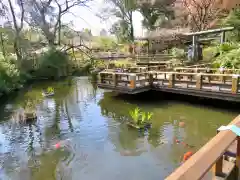 東郷神社の庭園