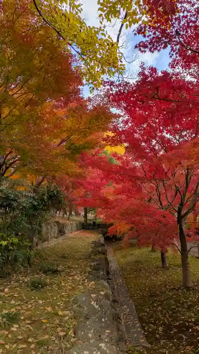 智積院(京都府)