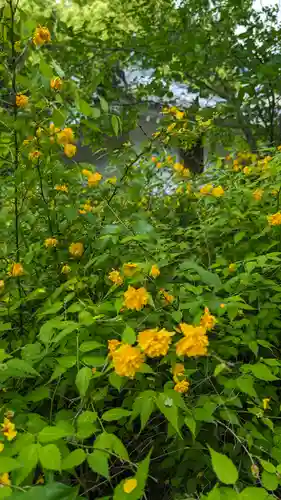 本法寺(京都府)