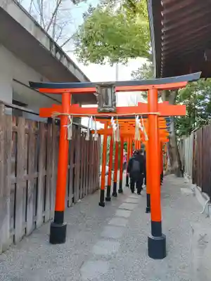 堀越神社の鳥居
