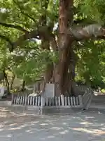 岡上神社(徳島県)