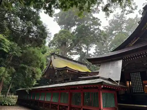 鹿島神宮(茨城県)