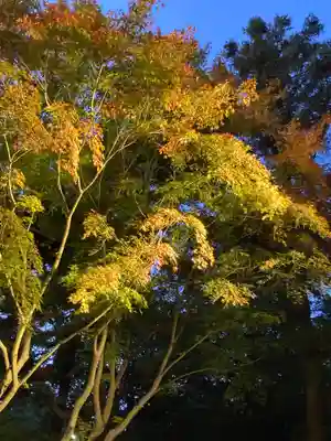 東漸寺(千葉県)