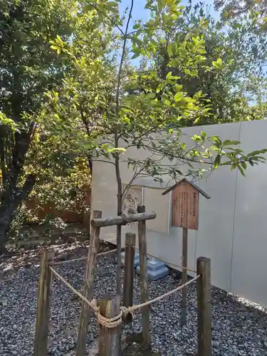 猿田彦神社(三重県)