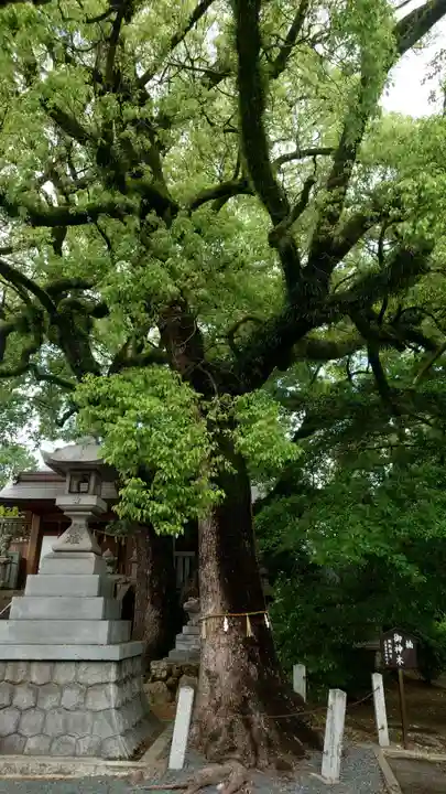 加納天満宮(岐阜県)