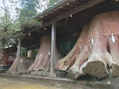 宇奈岐日女神社(大分県)