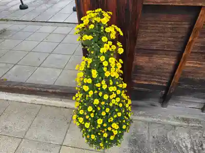 霊鑑寺門跡(京都府)