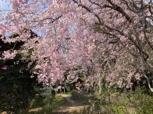 境香取神社(茨城県)
