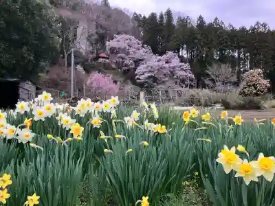 堂の下の岩観音(栃木県)