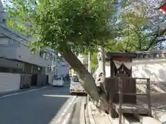 四天王寺庚申堂の自然