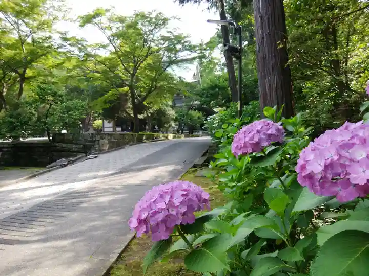 円覚寺(神奈川県)