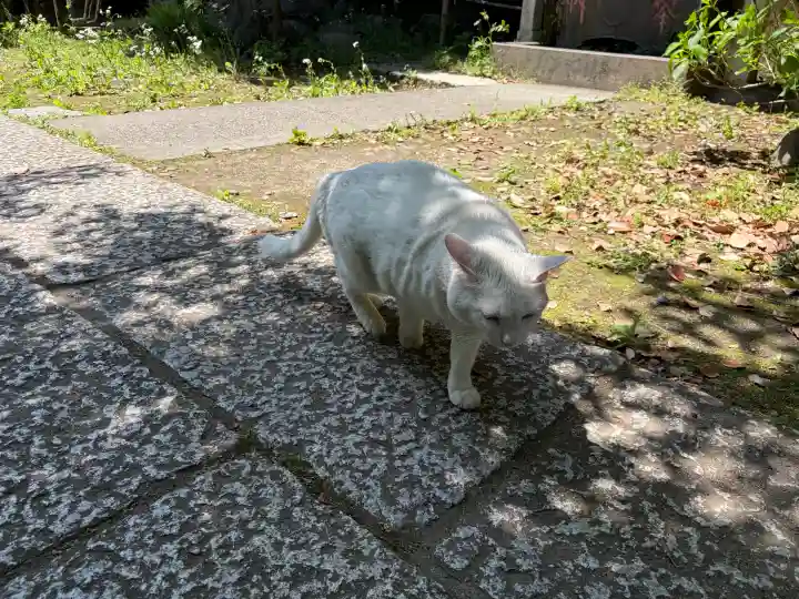 久國神社の{uncategorized: "未分類", other: "その他", undefined: "問題あり", building: "その他建物", grave: "お墓", sacred_gate: "鳥居", guardian: "狛犬", statue: "像", buddha: "仏像", history: "歴史", nature: "自然", garden: "庭園", animal: "動物", pagoda: "塔", temizu: "手水舎", mountain_gate: "山門・神門", sanctuary: "本殿・本堂", subordinate: "末社・摂社", art: "芸術", scenery: "景色", jizo: "地蔵", ema: "絵馬", goshuin: "御朱印", omikuji: "おみくじ", items: "授与品その他", amulet: "お守り", goshuincho: "御朱印帳", eats: "食事", festival: "お祭り", votive_dance: "神楽", shichigosan: "七五三参", wedding: "結婚式", experience: "体験その他", initially: "初詣", around: "周辺", anti_infection: "感染症対策"}
