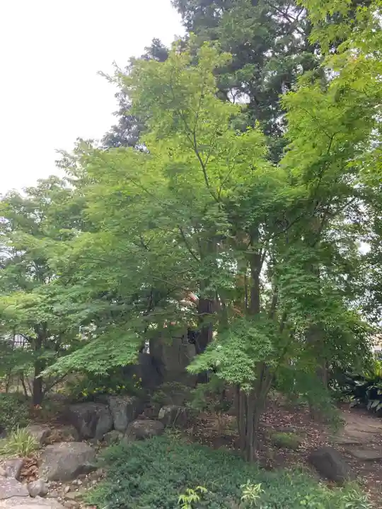 龍華寺(神奈川県)