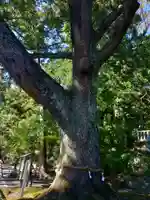 事任八幡宮(静岡県)