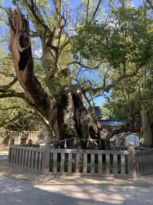 大山祇神社(愛媛県)