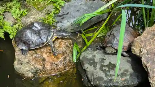 宝蔵寺(京都府)