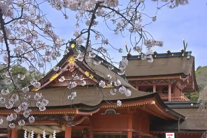 富士山本宮浅間大社(静岡県)
