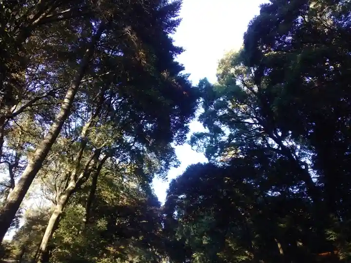 明治神宮(東京都)