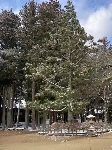 壇上伽藍(和歌山県)