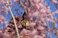 大鏑神社の自然