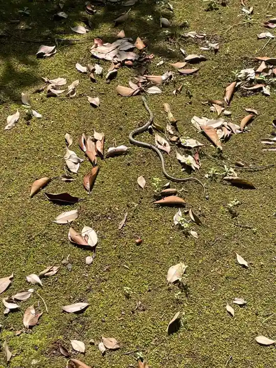 赤坂氷川神社(東京都)