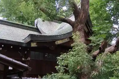 式内楯原神社(大阪府)