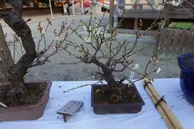 道明寺天満宮のその他建物
