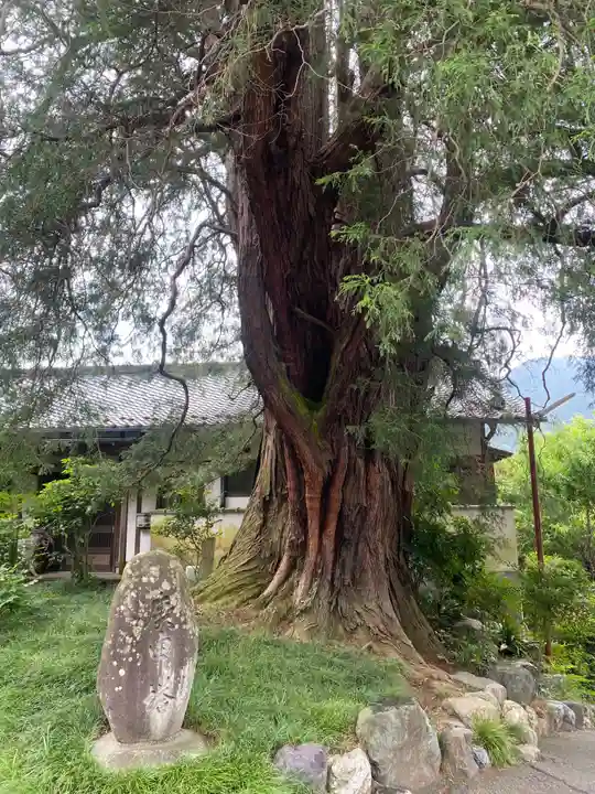 崇禅寺(群馬県)