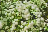 海龍王寺(奈良県)