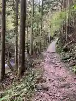 龍鎮神社の{uncategorized: "未分類", other: "その他", undefined: "問題あり", building: "その他建物", grave: "お墓", sacred_gate: "鳥居", guardian: "狛犬", statue: "像", buddha: "仏像", history: "歴史", nature: "自然", garden: "庭園", animal: "動物", pagoda: "塔", temizu: "手水舎", mountain_gate: "山門・神門", sanctuary: "本殿・本堂", subordinate: "末社・摂社", art: "芸術", scenery: "景色", jizo: "地蔵", ema: "絵馬", goshuin: "御朱印", omikuji: "おみくじ", items: "授与品その他", amulet: "お守り", goshuincho: "御朱印帳", eats: "食事", festival: "お祭り", votive_dance: "神楽", shichigosan: "七五三参", wedding: "結婚式", experience: "体験その他", initially: "初詣", around: "周辺", anti_infection: "感染症対策"}