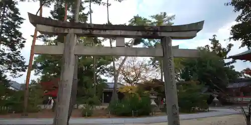 今宮神社の鳥居