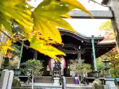 柳谷観音　楊谷寺(京都府)