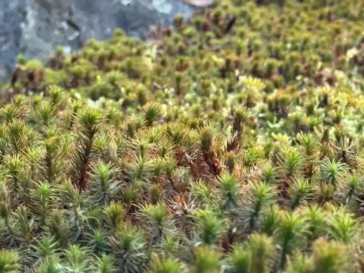 西方山極楽寺(岐阜県)