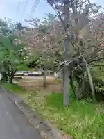 皆沢八幡宮本殿(群馬県)