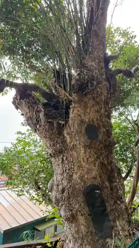 那古寺(千葉県)