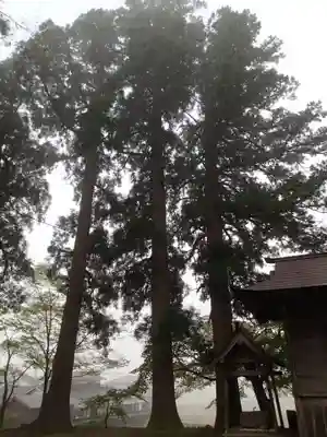 長田神社の自然