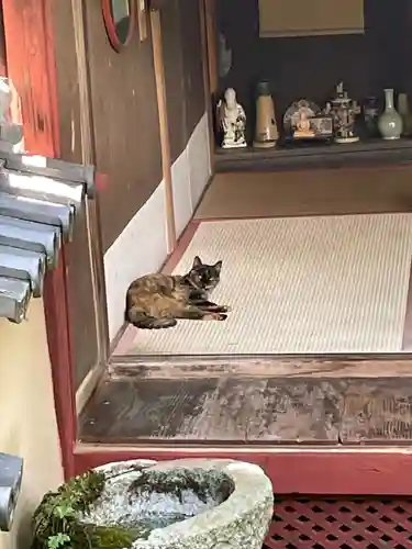 十輪寺(京都府)